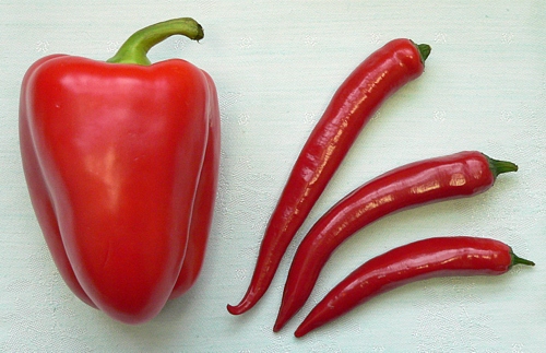 sladká a pálivá paprika